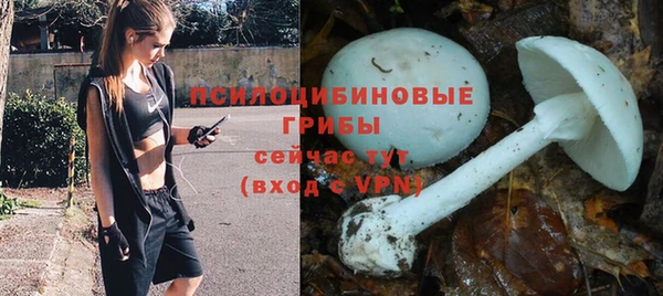 экстази Алексин
