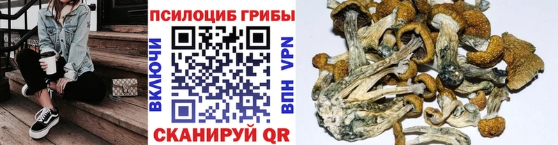 где купить наркотик  darknet состав  Псилоцибиновые грибы ЛСД  Красноуфимск 